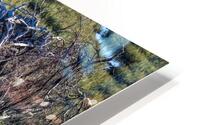 ROOTS 2024 HD Metal print