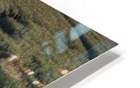 FS240430S HD Metal print