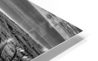 FS240430BW3 HD Metal print