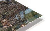 FS240518 Roots HD Metal print