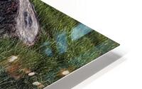 FS240611 DW2 HD Metal print