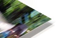 20240615 icm HD Metal print