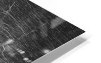 FS240607 ROOTS BW2 HD Metal print