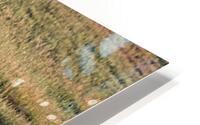 FALLEN TREE 2024 HD Metal print