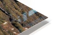 Driftwood 24 HD Metal print