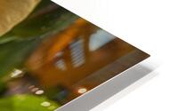 FS240818 499 HD Metal print