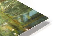 FS240820 1 HD Metal print