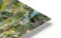 FS240820 14 HD Metal print