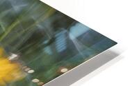 FS240816DW HD Metal print
