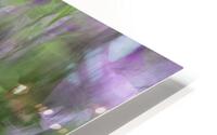 FS240816 HD Metal print