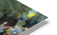 FS240820DW HD Metal print