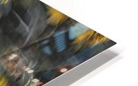 FS240820 00 HD Metal print
