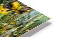 fs240820 08 HD Metal print