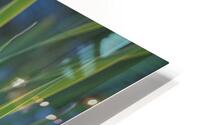 FS240811DW HD Metal print