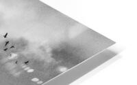FS240207 GEESE HD Metal print
