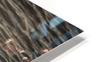 FS241004 00 HD Metal print