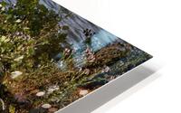 FS240725 HD Metal print