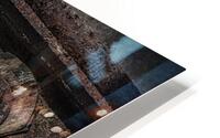FS251115S HD Metal print