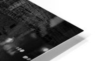 FS251115BW HD Metal print
