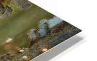 FS241114 RUST ART 5 HD Metal print
