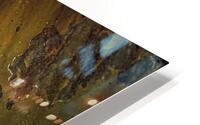FS241114 RUST ART HD Metal print