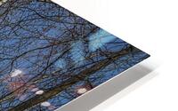 FS240207 BIRCH HD Metal print