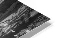 FS240207BW GEESE HD Metal print