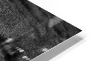 FS240430BW HD Metal print