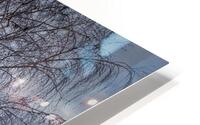 FS250101 TREES HD Metal print