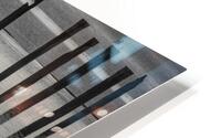 FS250105 HARMONY HD Metal print