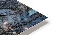 FS120331 DRIFTWOOD HD Metal print