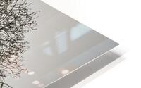 FS230317 MONO Edit HD Metal print