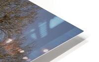 FOREST TRANSFORM TO BUILDINGS HD Metal print