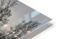FS250409 RESTING HD Metal print