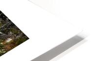 TWO WAYS TO LIVE HD Metal print