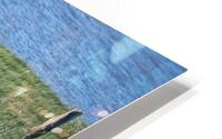 FS250607 GRASSES HD Metal print