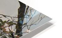 FS250730 HERON 2 HD Metal print