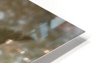 TWOGETHER 2025 HD Metal print