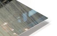 FA251002DW GEESE HD Metal print
