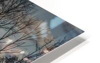 FS251101 EAGLE NEST HD Metal print
