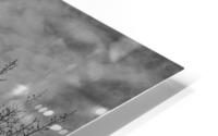 FS250401 BW CLOUDSCAPE HD Metal print