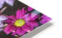 FS180130E HD Metal print