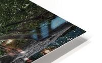 FS260527 BRANCHES HD Metal print