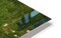 FS250507 SPRINGTIME HD Metal print