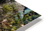 FS170528AW HD Metal print