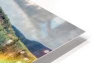 FS180626SS HD Metal print