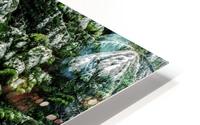 FS171219 HD Metal print