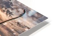 FS150326EE HD Metal print