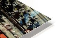 FS 111113 HD Metal print