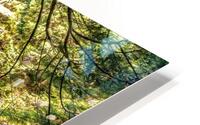 FS200829H HD Metal print